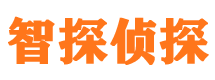 东光侦探